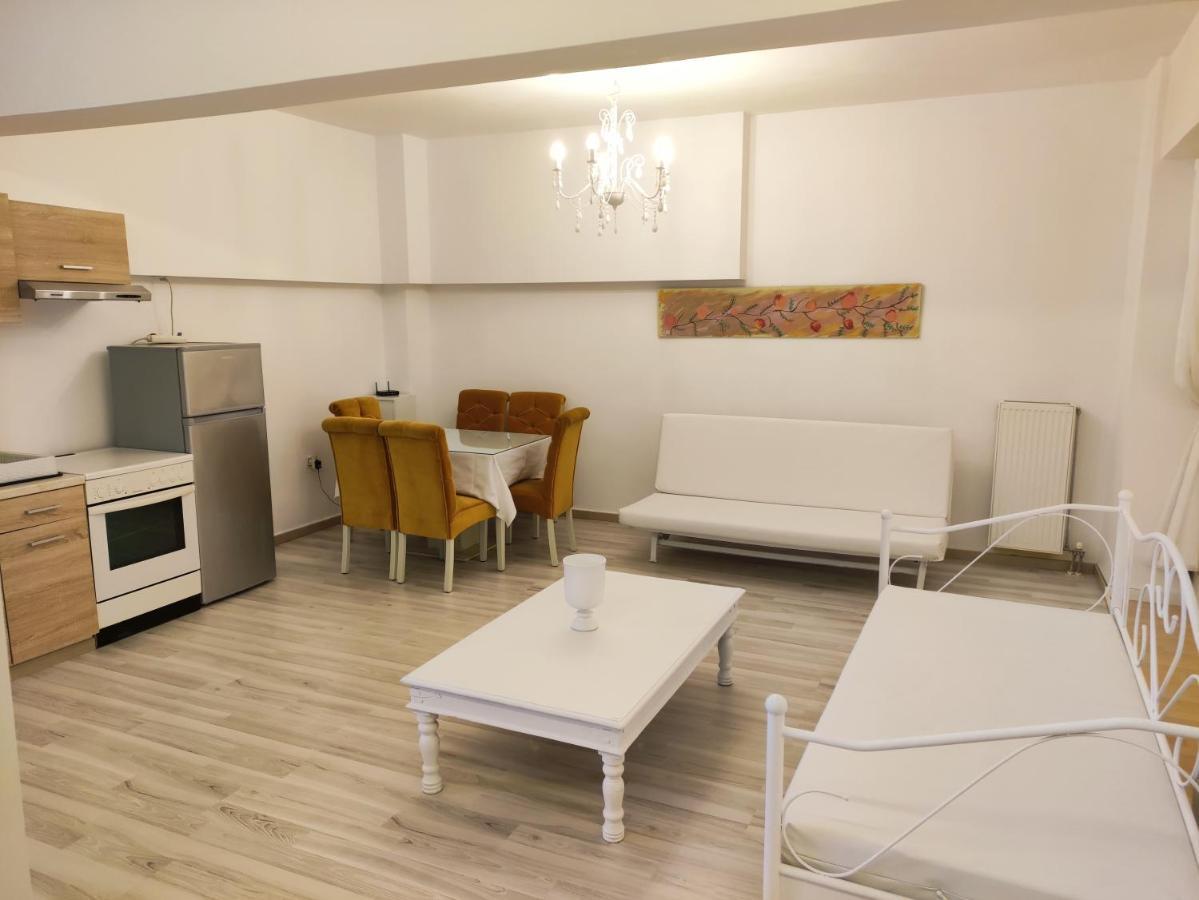 Superior Chic Family Apartment Kalampáka Buitenkant foto